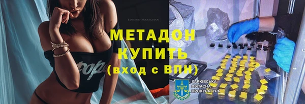 прущие грибы Каменка